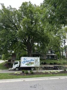 kc sprinkler professional sprinkler installation and irrigation design